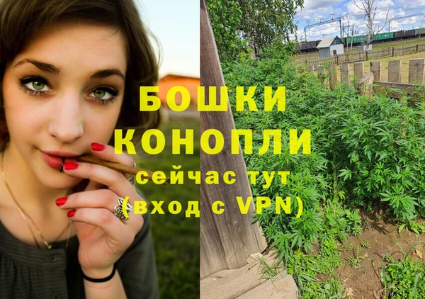спайс Инта