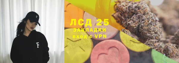 спайс Инта
