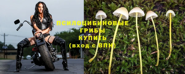 спайс Инта
