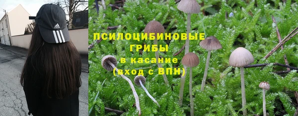 мескалин Инсар