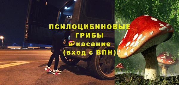 спайс Инта
