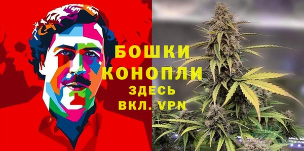 спайс Инта