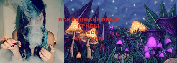 спайс Инта