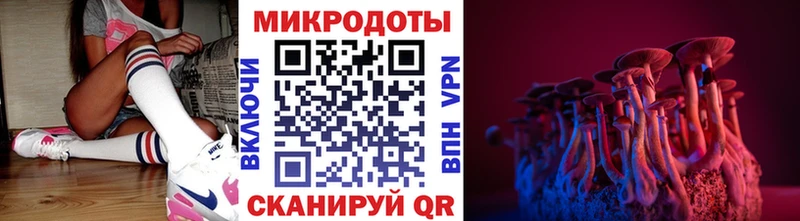 Купить закладки  Всеволожск  Галлюциногенные грибы GOLDEN TEACHER 